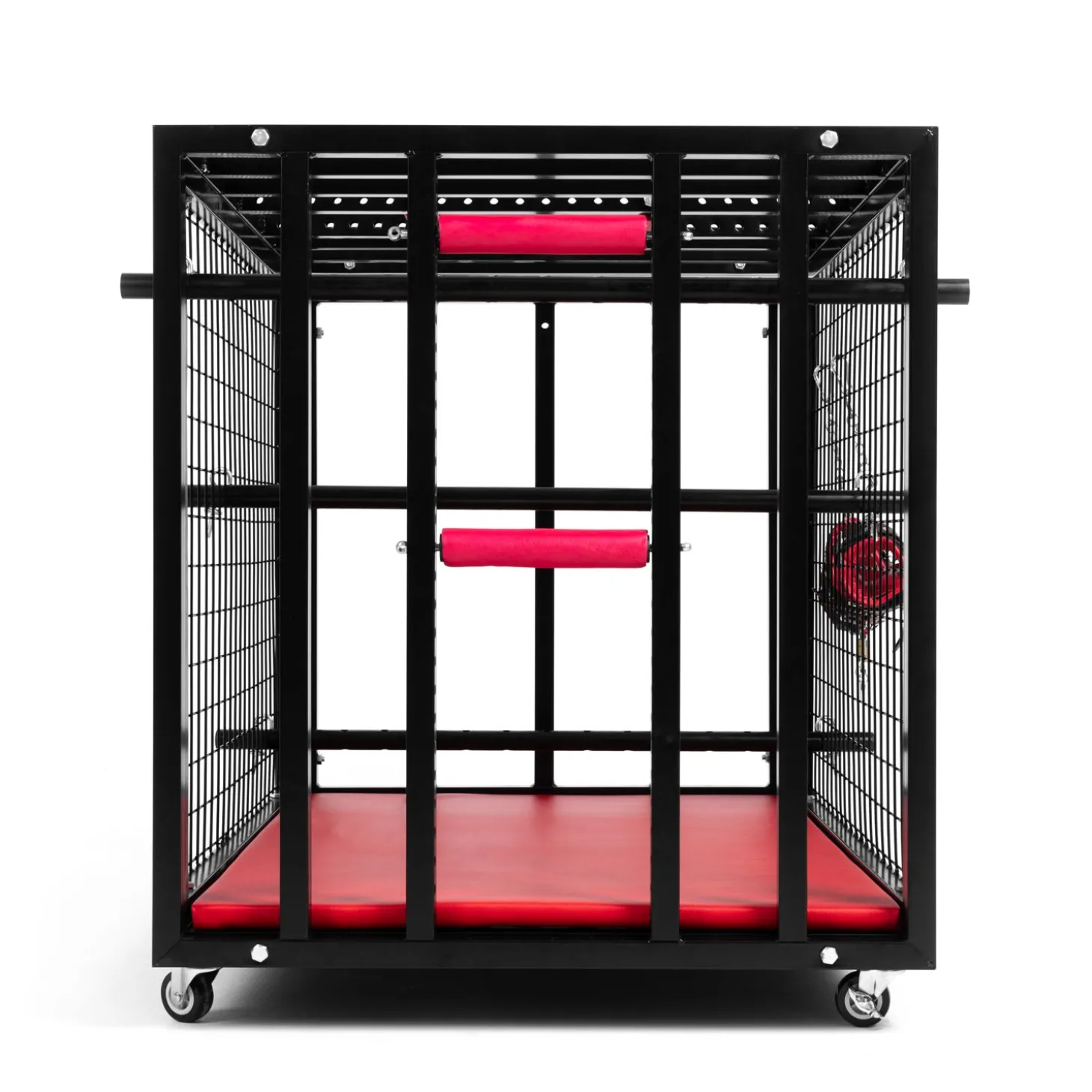 BDSM Metal Cage