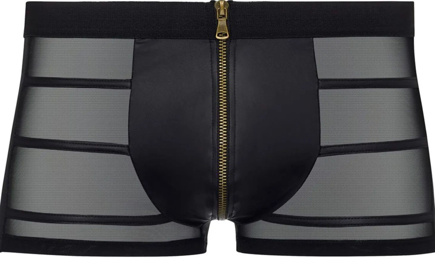 Doorschijnende Boxer Met Wetlook