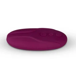Easy Choice Couple Vibrator