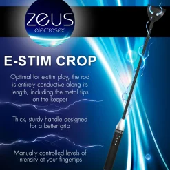 E-Stim Paddle