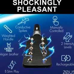 E-Stim Spiked Paddle