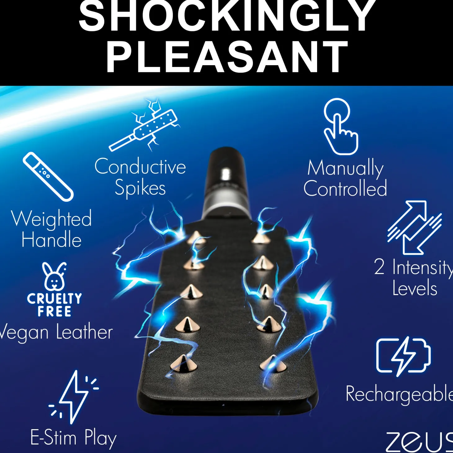 E-Stim Spiked Paddle