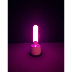 Paradise Pleasure Products - Illumination The Bullet - Wit