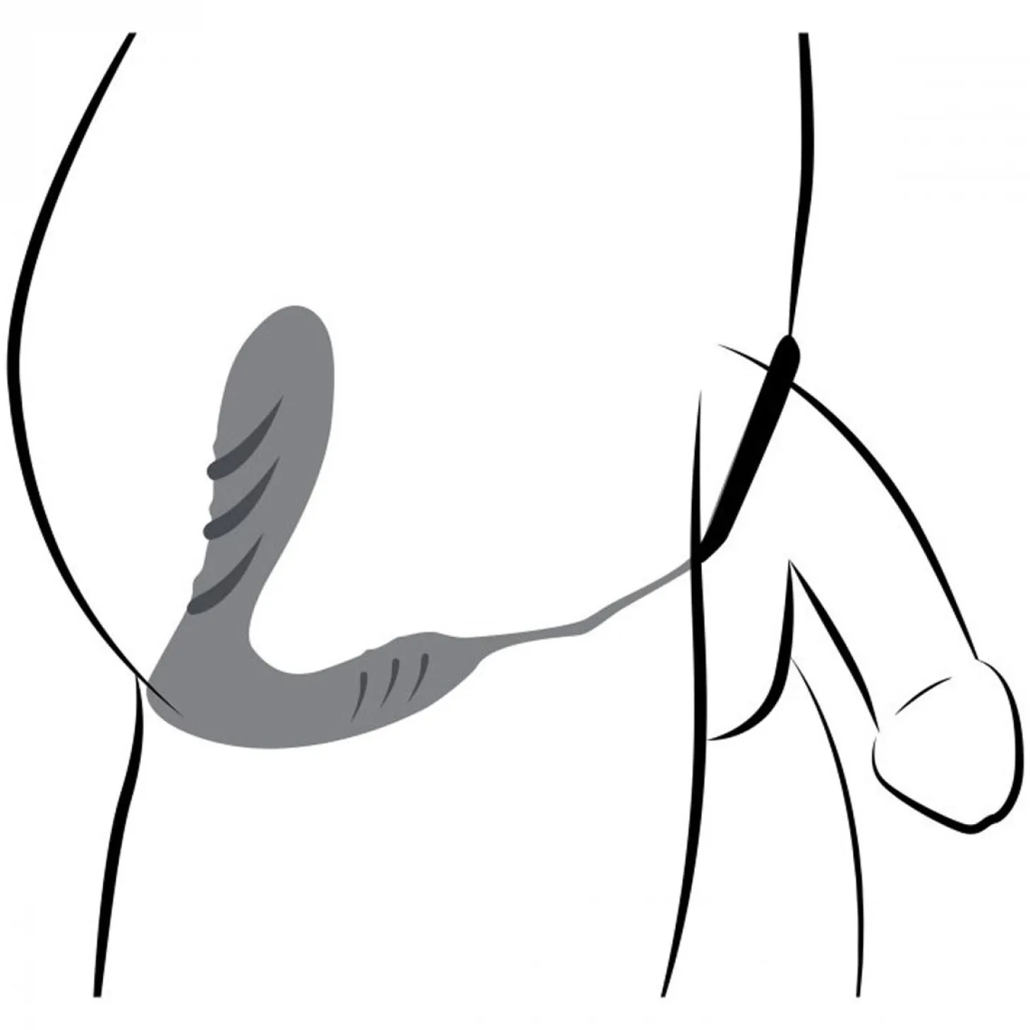Prostaat Vibrator en Cockring met Afstandsbediening