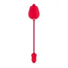 Teazers Rose Vibrator and Clitoris Stimulator