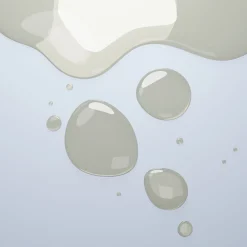 Wild Stud Delay Spray